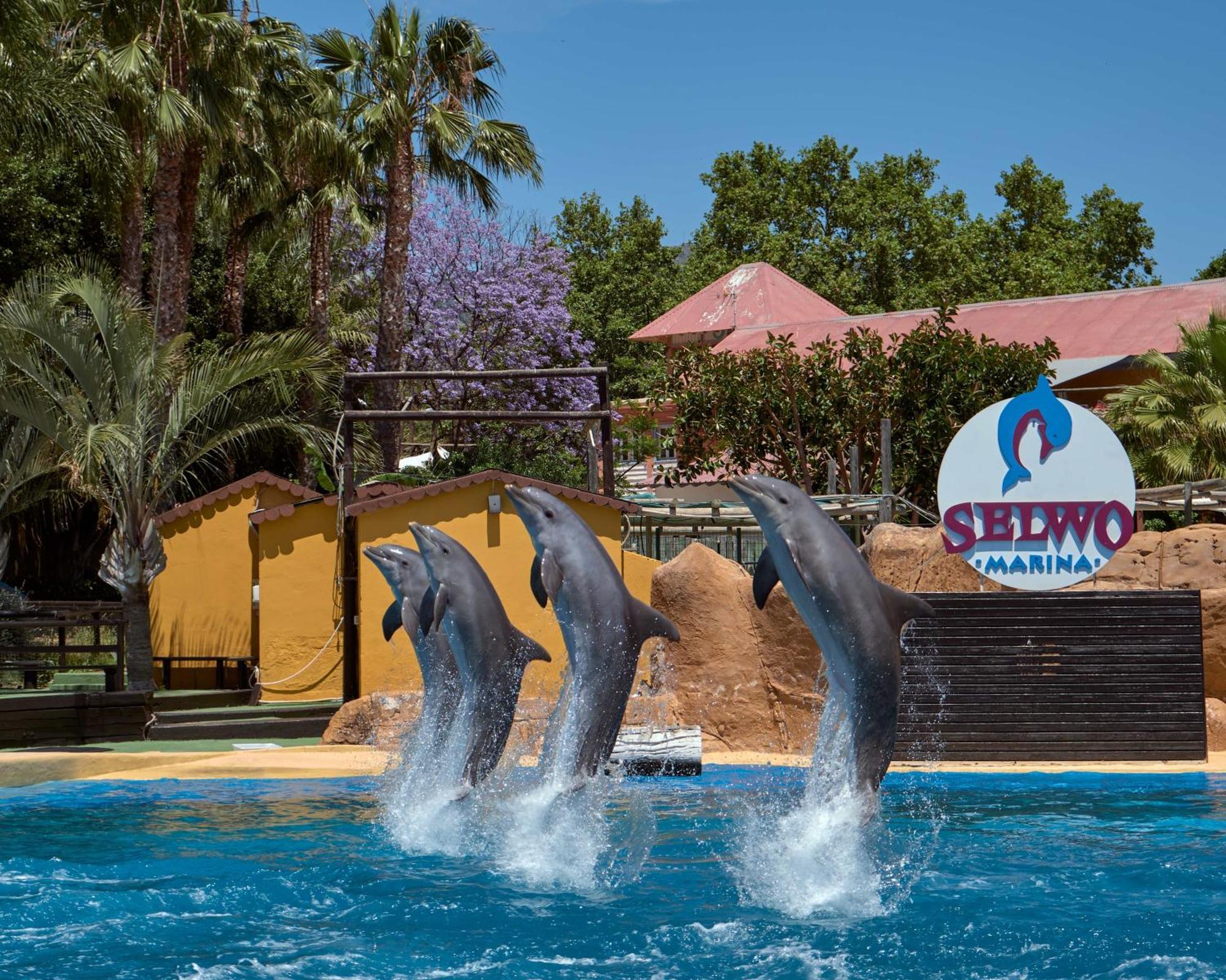 Apart With Swimming Pool Open All Year بينالماذينا المظهر الخارجي الصورة